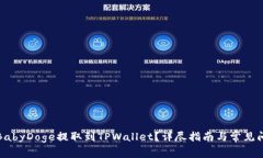 如何将BabyDoge提取到TPWallet？详尽指南与常见问题