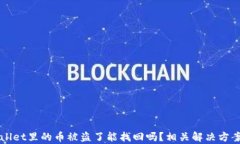 TPWallet里的币被盗了能找回吗？相关解决方案剖析