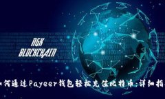 如何通过Payeer钱包轻松充