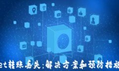 tpwallet转账丢失：解决方案和预防措施全解析