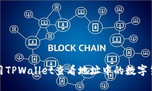 如何使用TPWallet查看地址中的数字货币余额