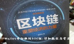 如何在TPWallet中切换到BSC链：详细教程与常见问题