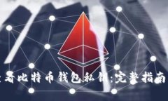 如何安全查看比特币钱包私钥：完整指南与注意