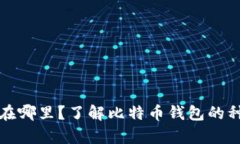 比特币存放在哪里？了解比特币钱包的种类与安