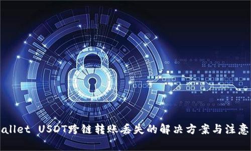 TPWallet USDT跨链转账丢失的解决方案与注意事项