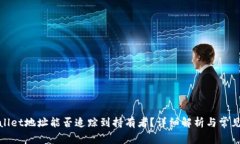 tpwallet地址能否追踪到持有者？详细解析与常见疑