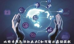比特币钱包体积太大？如何解决存储困扰