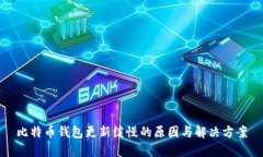 比特币钱包更新缓慢的原因与解决方案