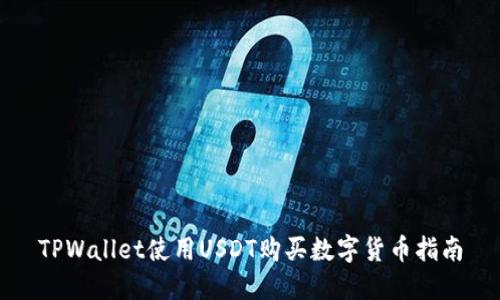 TPWallet使用USDT购买数字货币指南