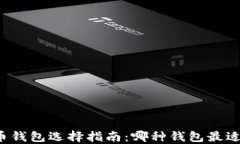 比特币钱包选择指南：哪