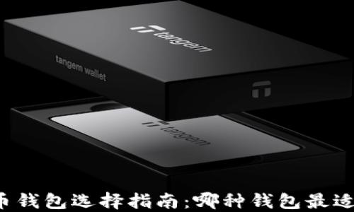 
比特币钱包选择指南：哪种钱包最适合你？