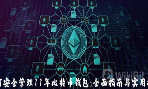
如何安全管理11年比特币钱包：全面指南与实用技巧