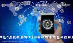 比特币钱包C盘数据在哪里？详解比特币钱包的数