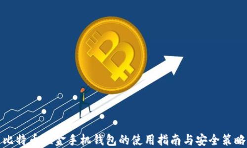 
比特币现金手机钱包的使用指南与安全策略