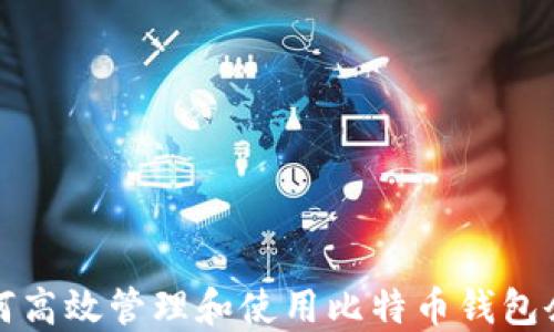 
如何高效管理和使用比特币钱包余额