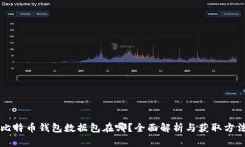 比特币钱包数据包在哪？全面解析与获取方法