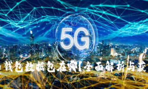 比特币钱包数据包在哪？全面解析与获取方法