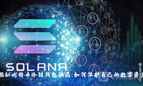 揭秘比特币冷链钱包骗局：如何保护自己的数字资产