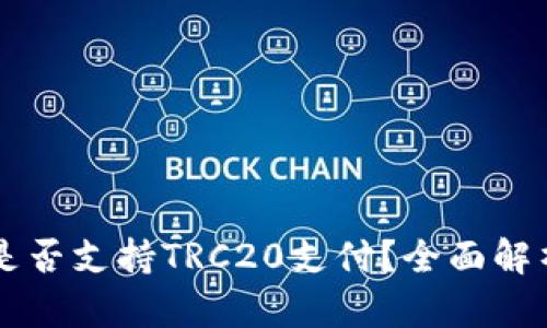 以太坊钱包是否支持TRC20支付？全面解析与实践指南