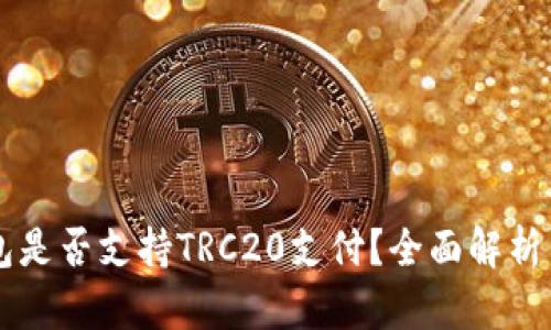 以太坊钱包是否支持TRC20支付？全面解析与实践指南