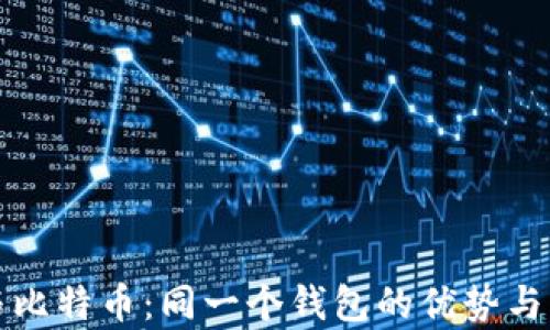 
泰达币与比特币：同一个钱包的优势与风险分析