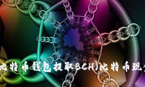 如何从比特币钱包提取BCH（比特币现金）详解