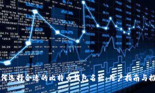 如何选择合适的比特币钱包名称：用户指南与推荐