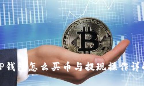 TP钱包怎么买币与提现操作详解