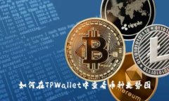 如何在TPWallet中查看币种走