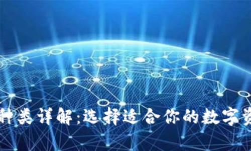 以太坊钱包种类详解：选择适合你的数字资产存储方案