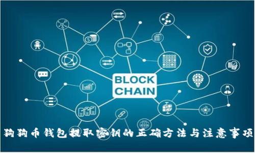 狗狗币钱包提取密钥的正确方法与注意事项