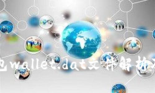 比特币钱包wallet.dat文件解析及应用指南