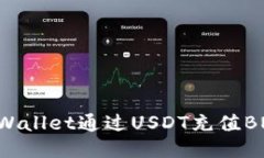 如何使用TPWallet通过USDT充