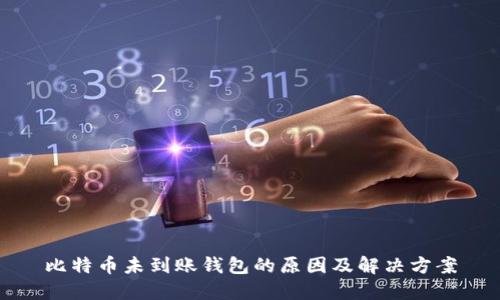 比特币未到账钱包的原因及解决方案