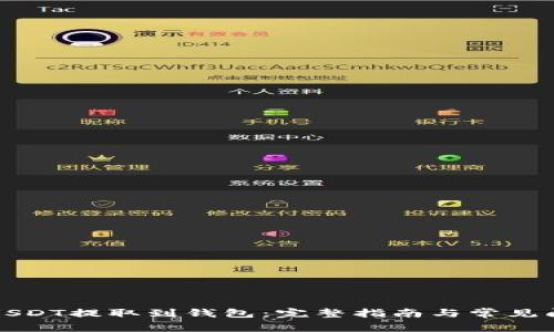 如何将USDT提取到钱包：完整指南与常见问题解答