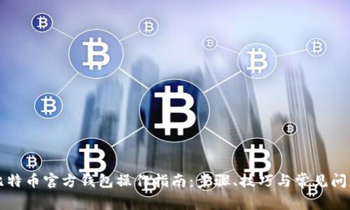 比特币官方钱包操作指南：步骤、技巧与常见问题