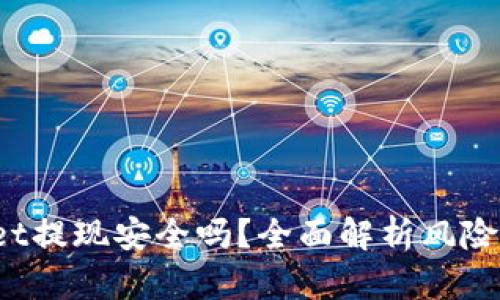  TPWallet提现安全吗？全面解析风险与安全性
