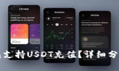 什么钱包支持USDT充值？详细分析与推荐