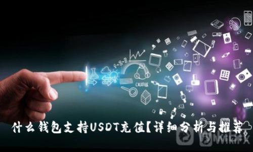 什么钱包支持USDT充值？详细分析与推荐