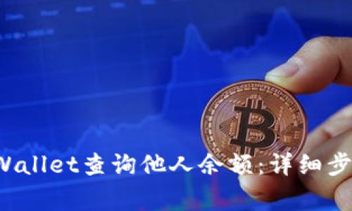 如何使用TP Wallet查询他人余额：详细步骤与注意事项