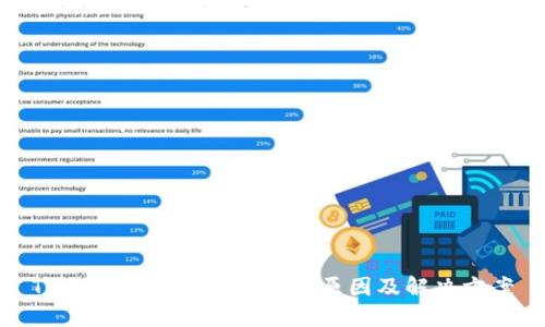 TPWallet分身打不开的原因及解决方案