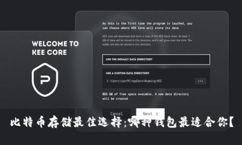 比特币存储最佳选择：哪种钱包最适合你？