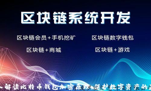 
深入解读比特币钱包加密原理：保护数字资产的基础