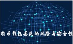 : 比特币钱包丢失的风险与