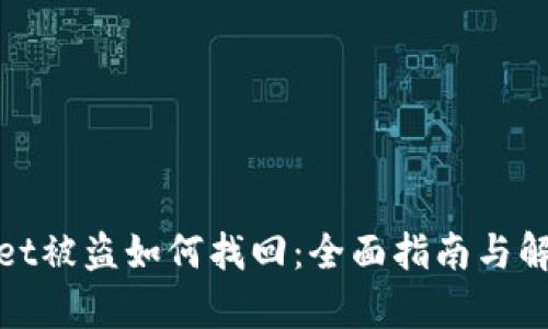 tpwallet被盗如何找回：全面指南与解决方案