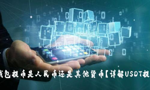 USDT钱包提币是人民币还是其他货币？详解USDT提币流程