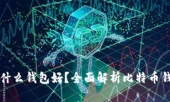 买比特币用什么钱包好？