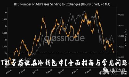 USDT能否存放在冷钱包中？全面指南与常见问题解答