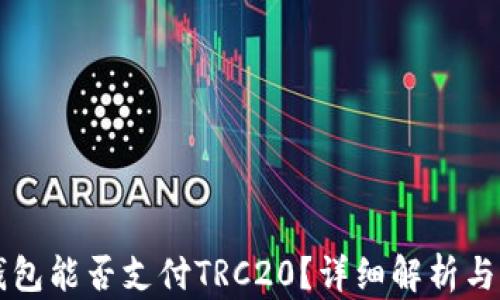 
以太坊钱包能否支付TRC20？详细解析与操作指南