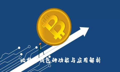 比特币钱包的功能与应用解析
